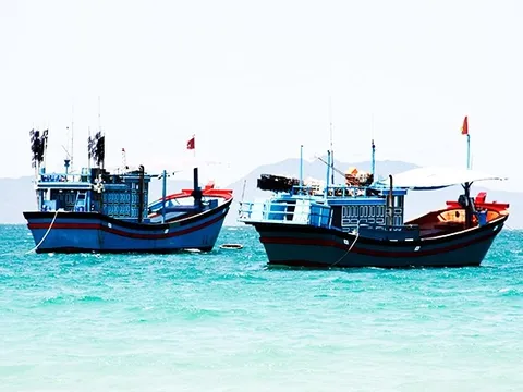 Ngăn chặn các tàu cá nghi vấn tổ chức đi khai thác hải sản ở vùng biển nước ngoài