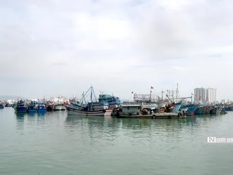 Phòng, chống bão Noru: Khánh Hòa còn 729 tàu thuyền đang hoạt động trên biển