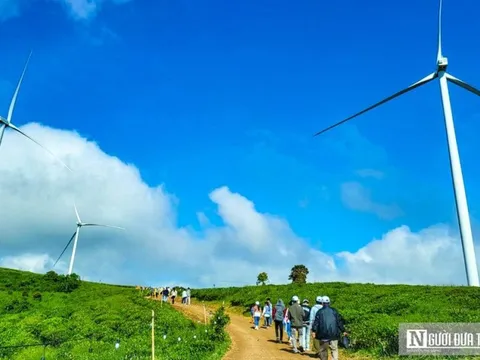 Lâm Đồng: Phê duyệt 2 dự án điện gió với tổng vốn đầu tư gần 4.400 tỷ đồng