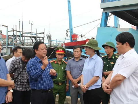 Quảng Ngãi cần đề phòng sạt lở ở khu vực miền núi