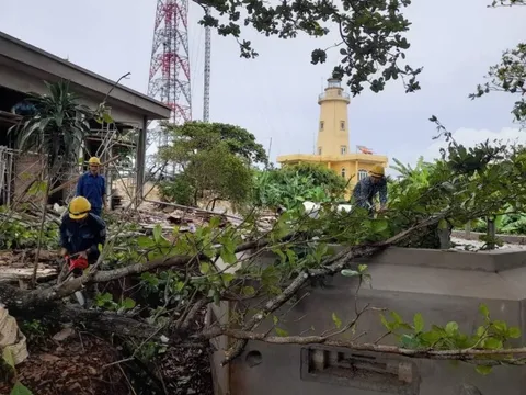 Bắc Trung Bộ: Phần lớn tàu thuyền đã về bến neo đậu tránh bão