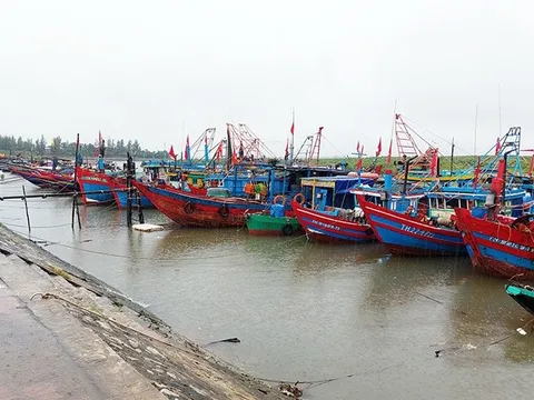 Khẩn trương thành lập các đoàn công tác xuống tận thôn, xã đôn đốc, chỉ đạo chống bão NORU