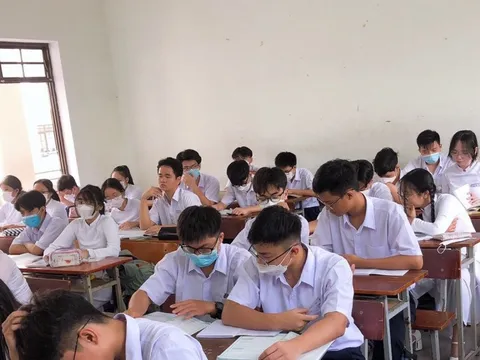 Đà Nẵng: Dừng họp chợ, tạm nghỉ học, nghỉ làm để phòng chống bão