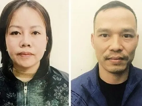 Khởi tố người phụ nữ môi giới "đẻ thuê" giá hơn 700 triệu đồng