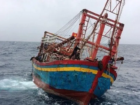 Quảng Nam: 150 ngư dân đang ở vùng nguy hiểm trên biển