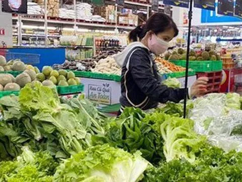 Rau bẩn 'đội lốt' VietGAP: Truy trách nhiệm giám đốc siêu thị