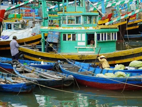 Mở đợt cao điểm xử lý vi phạm “thẻ vàng” IUU