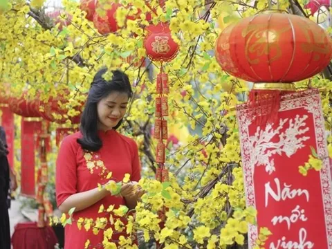 Trình phương án nghỉ Tết Nguyên đán Quý Mão 2023