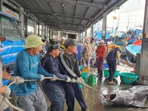 Khánh Hòa sẽ cưỡng chế nếu người dân không chịu di dời đến nơi an toàn