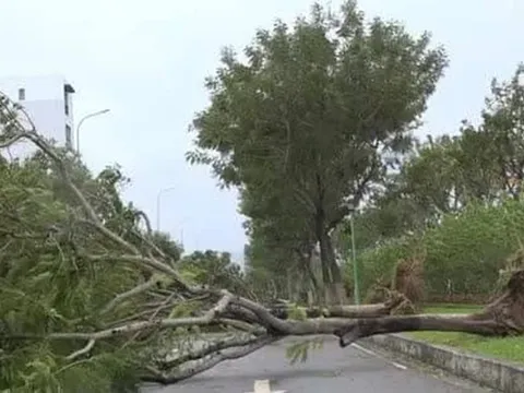 Siêu bão Noru đổ bộ: Hàng trăm ngôi nhà bị tốc mái, cây đổ la liệt, 4 người bị thương