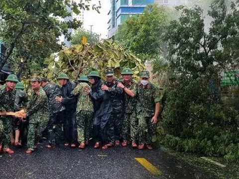 Hình ảnh thiệt hại ban đầu do bão Noru gây ra tại Đà Nẵng