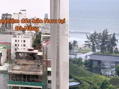 Gây bức xúc vì làm clip hào hứng đón bão Noru vào Đà Nẵng, nữ TikToker lên tiếng xin lỗi