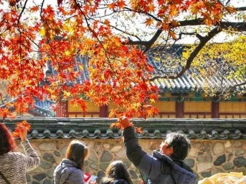 Hàn Quốc chính thức bỏ yêu cầu xét nghiệm Covid-19 sau khi nhập cảnh