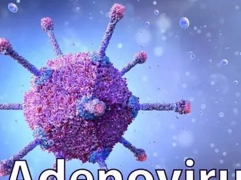 Bình Thuận bác bỏ thông tin có 8 ca mắc virus Adeno
