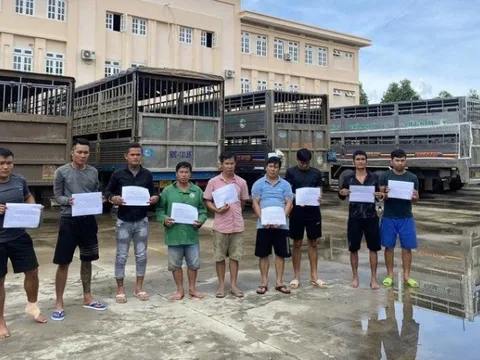 Bắt nhóm người chuyên đánh tráo heo thịt để trục lợi