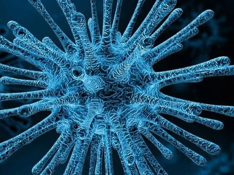 Một virus khỉ khác đang sẵn sàng lây sang người