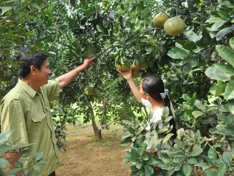 Hòa Bình: Nỗ lực thực hiện chính sách an sinh xã hội cho người dân