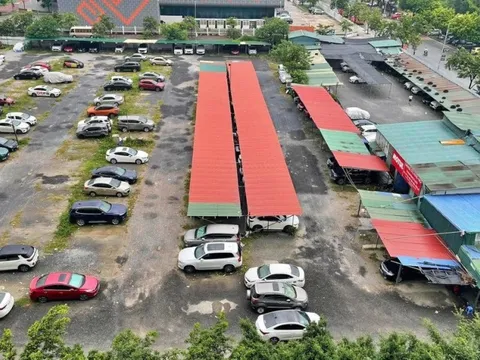 Hà Nội "đòi" đất bỏ hoang để giao quận Hoàng Mai xây trường học