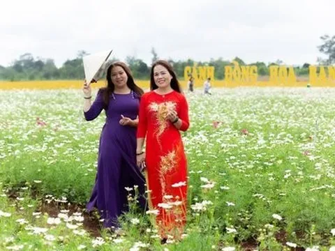 Hành trình khai sinh của “Cánh đồng hoa Ban Mê”