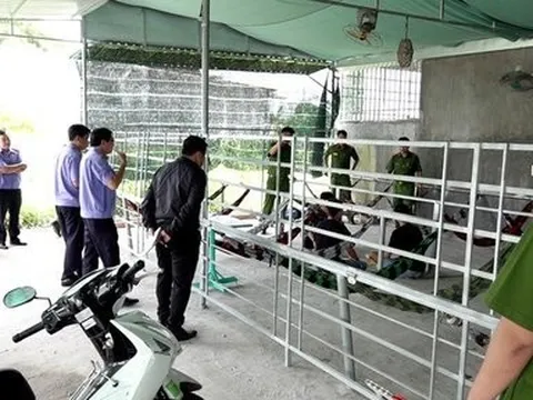 An Giang: Thực nghiệm hiện trường vụ giết bạn nhậu, dựng lời khai giả