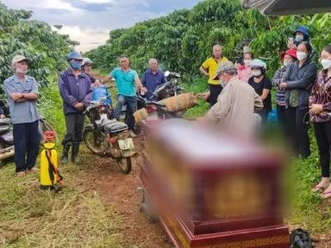 Lâm Đồng: Điều tra vụ phát hiện thi thể phân hủy trong vườn cà phê