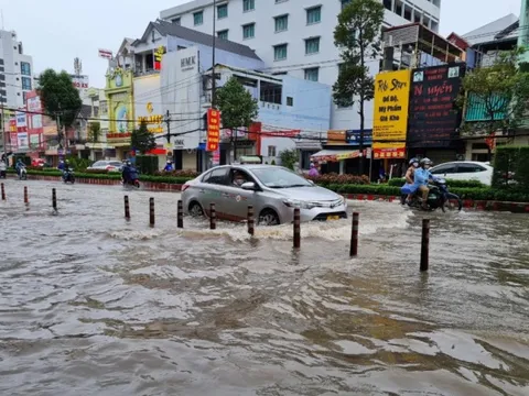 Triều cường dự báo tái lập mốc lịch sử, Cần Thơ khẩn cấp ứng phó