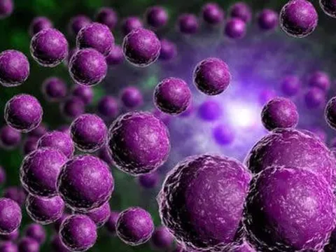 Dùng ánh sáng diệt gọn mầm bệnh chết chóc hơn COVID-19