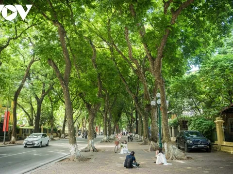 Những điểm chụp ảnh mùa thu Hà Nội tuyệt đẹp không thể bỏ qua