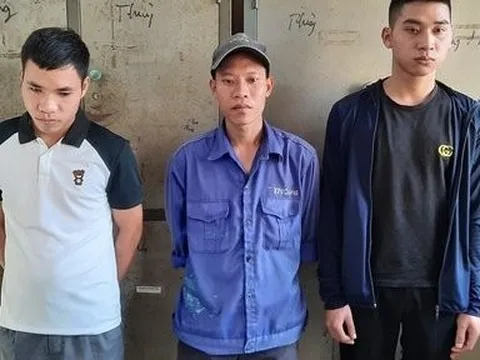 Điều tra vụ nhóm nhân viên sử dụng giấy tờ giả để xin việc