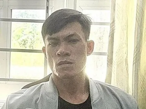 Bình Thuận: Bắt đối tượng cướp giật tài sản vừa mới ra tù