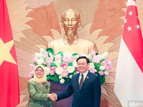 Việt Nam - Singapore có thể mở rộng nội dung đào tạo cho đại biểu Quốc hội