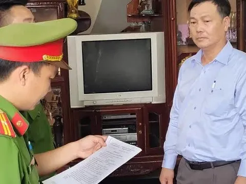 Vì sao Tổng Giám đốc Công ty Cổ phần Tín Nghĩa bị bắt?