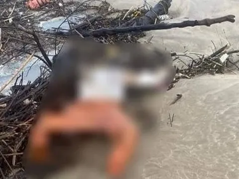 Phát hiện thi thể nữ giới trôi dạt ở bờ biển Quảng Bình