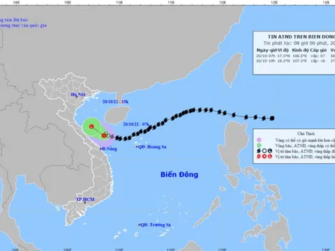 Áp thấp nhiệt đới gây mưa dông nhiều nơi, gió giật cấp 9