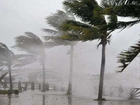 Bão vừa tan, Biển Đông có thể đón tiếp một cơn bão vào cuối tháng này