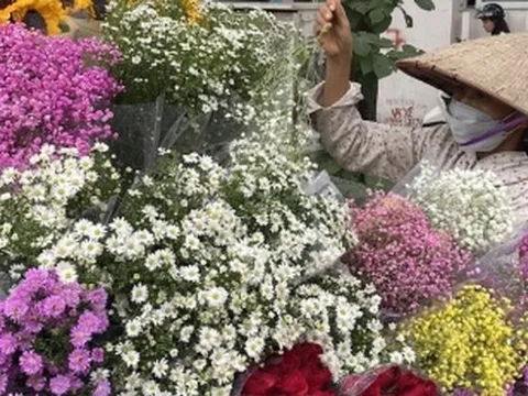 Rong ruổi khắp Hà Nội, gánh hàng hoa bán được chục triệu đồng mỗi ngày dịp 20/10