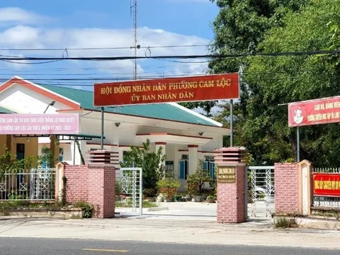 Khánh Hòa: Kỷ luật 2 chủ tịch phường vì để núi Hòn Rồng bị lấn chiếm