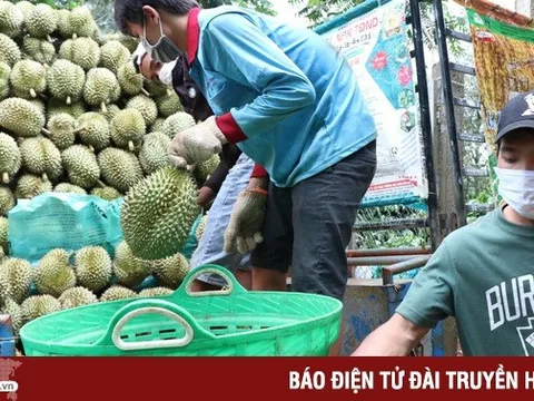 Nhiều trái cây Việt được cấp “visa” vào thị trường lớn