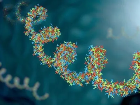 Phát hiện virus cổ đại trong mô khoẻ mạnh của con người