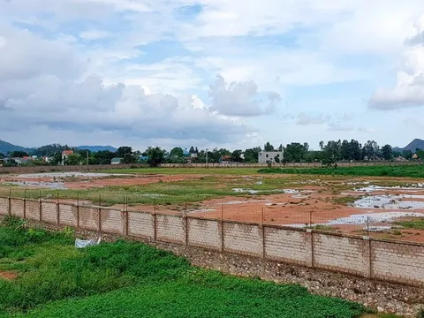 Tăng cường xử lý các dự án chậm tiến độ sử dụng đất