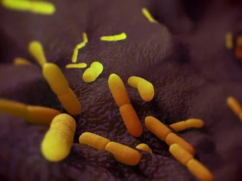 Con người tiến hóa hơn sau 'cái chết đen'