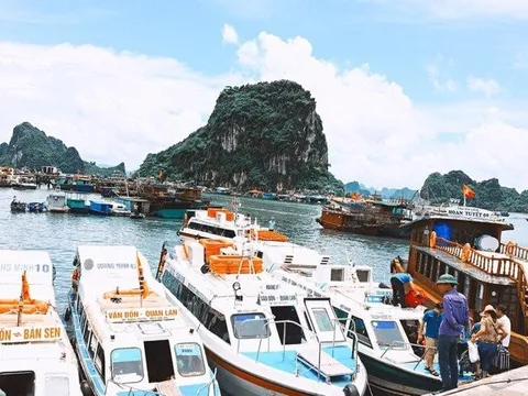 Hàng loạt tàu du lịch nằm bờ sau thông báo bất ngờ của cây xăng duy nhất tại Vân Đồn