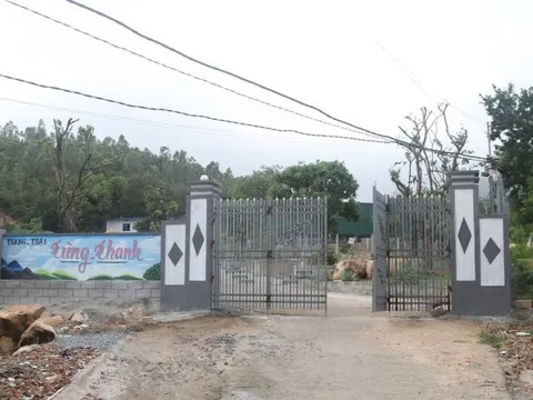 Khởi tố chủ trang trại và đồng phạm đánh người dân trên núi Hòn Rồng