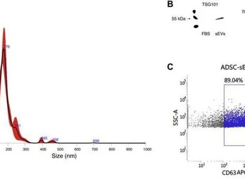 Đã tìm được cách chống lão hóa, con người có thể sống vài trăm tuổi?