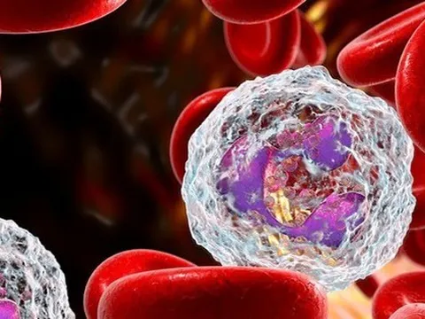 Chuyên gia Cục Quản lý dược nói gì về chất gây ung thư nghi có trong dầu gội?