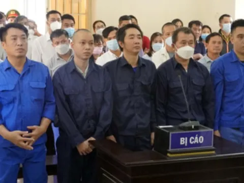 Trả hồ sơ điều tra bổ sung vụ hủy hoại rừng trên núi Thị Vải