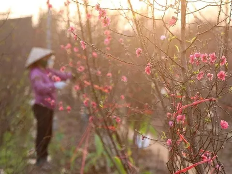 Chốt phương án nghỉ Tết Nguyên đán 2023 trình Chính phủ
