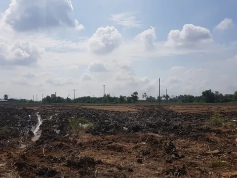 Đề nghị tỉnh Long An “đóng băng” toàn bộ tài sản Công ty Vạn Thịnh Phát để điều tra