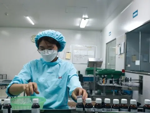Tự chủ nguồn dược liệu trong nước là tầm nhìn chiến lược