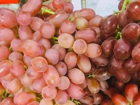Nho sữa Trung Quốc giá siêu rẻ tràn ngập các chợ